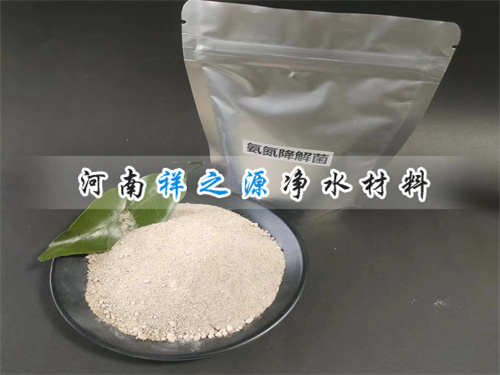 ����������DƬ